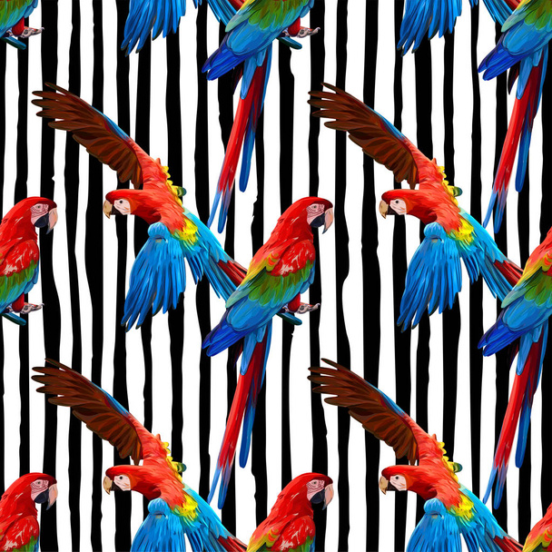 Papagei ara Vektor nahtloses Muster - Vektor, Bild
