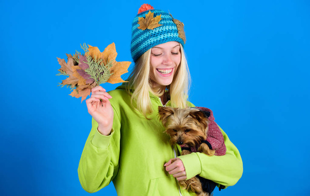 regular flea treatment. Pet health tips for autumn. Girl hug cute dog and hold fallen leaves. Woman carry yorkshire terrier. Take care pet autumn. Veterinary medicine concept. Health care for dog pet - 写真・画像