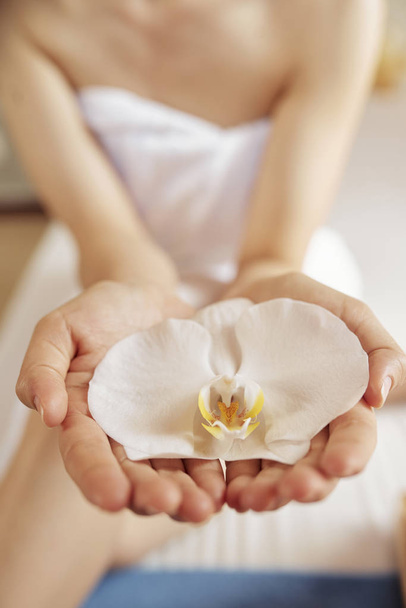 White delicate flower in hands of female spa salon client - Photo, Image