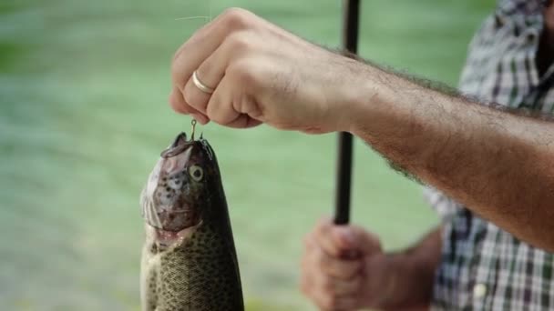 Pêcheur en vacances sur la rivière
 - Séquence, vidéo