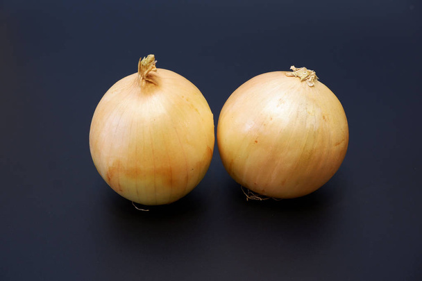 Two bulb of onion on dark gray background close up - Foto, afbeelding