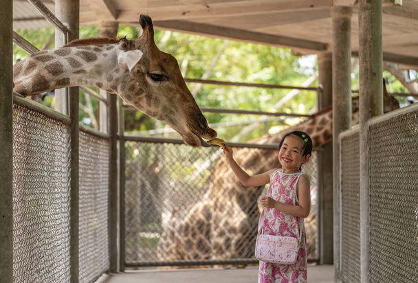 gyermek lány etetés egy zsiráf - Fotó, kép