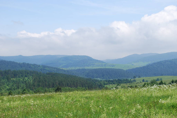 summer pezazh Carpathian mountains - Foto, Imagem