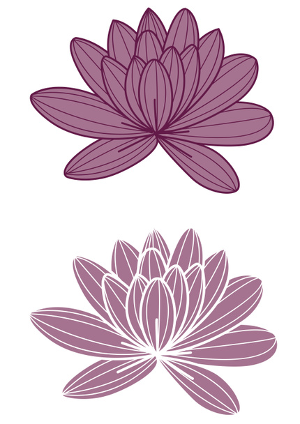 Flor de loto púrpura
 - Foto, Imagen