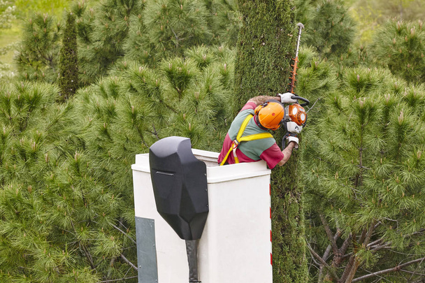 Оснащенный рабочий, обрезающий дерево на кране. Садоводство
 - Фото, изображение
