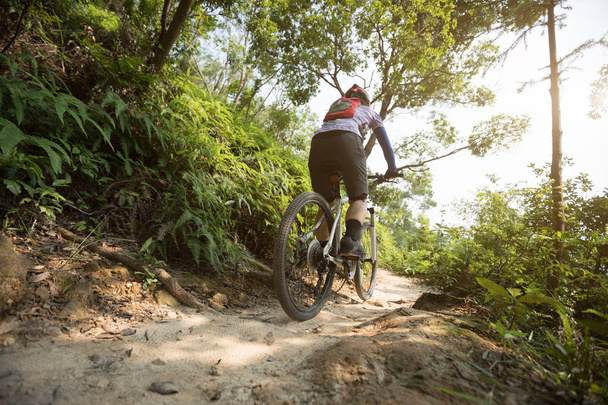 Vélo de fond femme cycliste équitation VTT sur le sentier de la forêt tropicale
 - Photo, image
