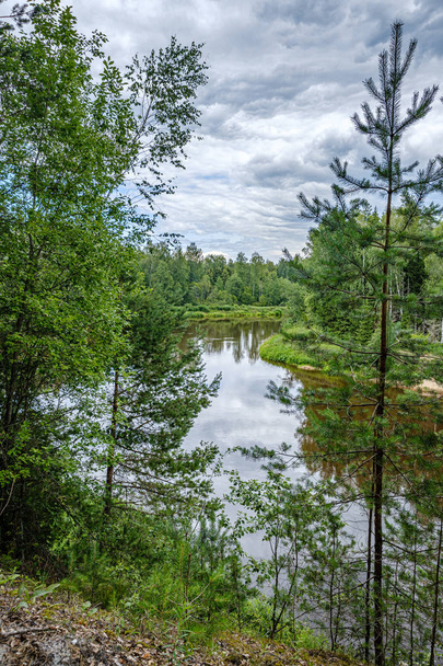 river Gauja in Latvia, view through the trees in summer - Фото, зображення