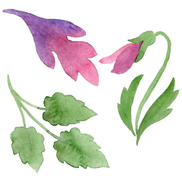 Schmuck mit Stiefmütterchen botanische Blumen. Aquarell Hintergrundillustration Set. Isoliertes Viola-Illustrationselement. - Foto, Bild