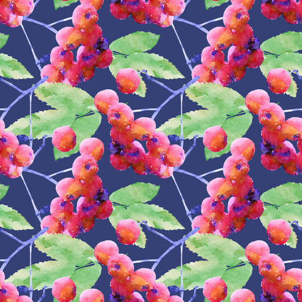 Горобина листя і ягоди аквареллю безшовні візерунковий - Фото, зображення