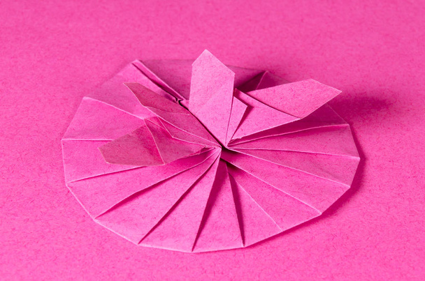 Ροζ πεταλούδα οριγκάμι και ανθίζει πάνω από ροζ - Φωτογραφία, εικόνα