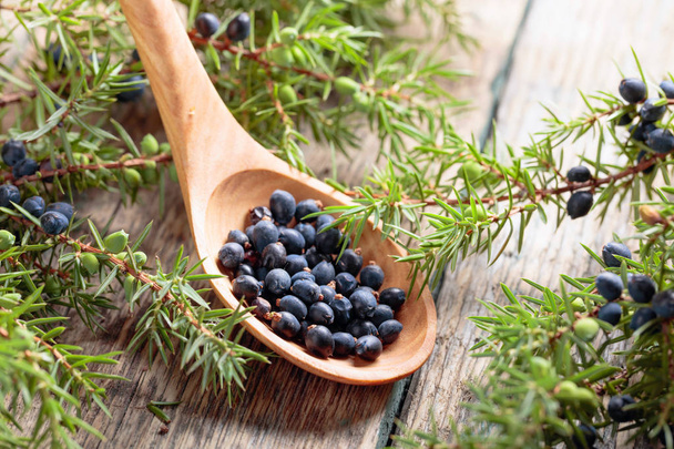 Juniper branch and wooden spoon with berries on a wooden table. - Photo, Image