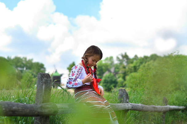 portrait of Ukrainian Beautiful girl in vyshivanka in green field of wheat . girl in embroidery - Фото, изображение