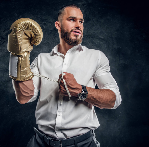 Portrait of cheeky bearded man with boxing gloves - Photo, Image