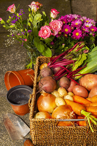 Bio-Gärtnern baut Gemüse und Blumen auf der Kleingartenanlage zu Hause für gesunde Ernährung und Landleben an, um Ihre fünf am Tag zu bekommen  - Foto, Bild