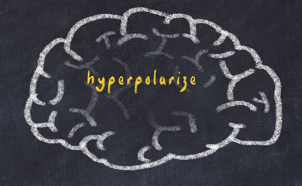 Drawind van menselijk brein op krijtbord met inscriptie hyperpolarize - Foto, afbeelding