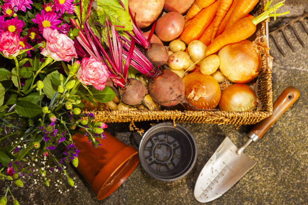 Βιολογική κηπουρική καλλιέργεια λαχανικών και λουλουδιών στην κατανομή στο σπίτι για την υγιεινή διατροφή και τη χώρα ζώντας για να πάρει πέντε ημέρα σας  - Φωτογραφία, εικόνα