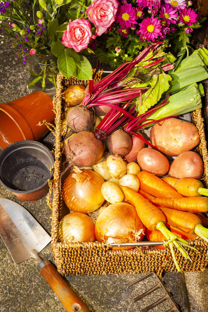 Jardinage biologique cultures de légumes et de fleurs sur l'allocation à la maison pour une alimentation saine et la vie à la campagne pour obtenir vos cinq par jour
  - Photo, image