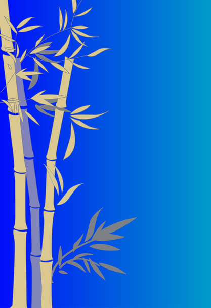 bambu - Foto, Imagem
