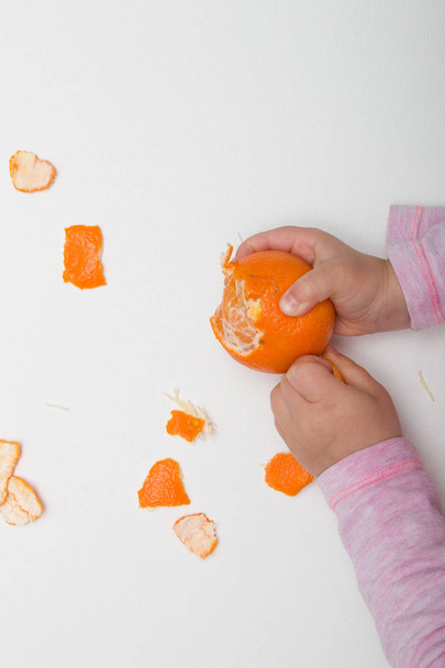 child in a pink sweater peels mandarin on a white background - Foto, Imagem