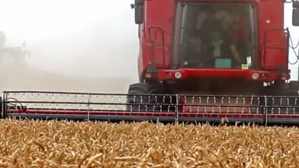 Зернозбиральної техніки
 - Кадри, відео