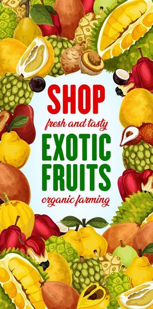 Εξωτικά φρούτα, πλαίσιο τροπικών μούρων. Κατάστημα αγροκτήματος - Διάνυσμα, εικόνα