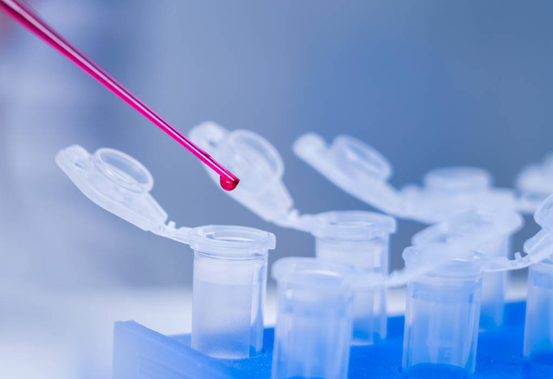 Laboratory of food quality.Cell culture assay to test geneticall - Φωτογραφία, εικόνα