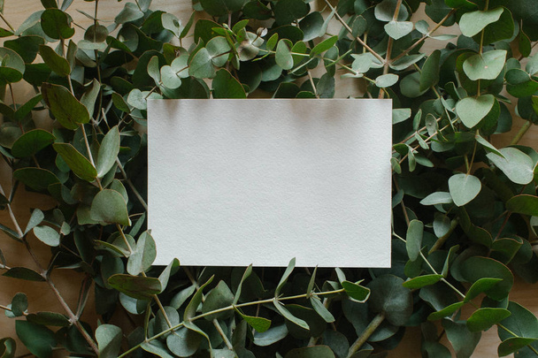 Background with copy space blank on natural wooden table with eucalyptus branches. Top view with copy space, flat lay, minimal style. - Valokuva, kuva