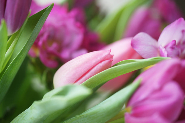 gyönyörű csokor rózsaszín tulipánok - Fotó, kép