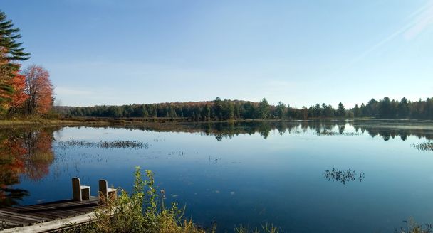 ranní jezero - Fotografie, Obrázek