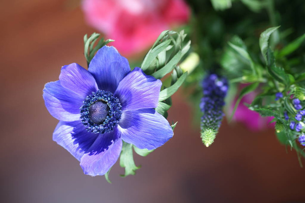 букет зі свіжих яскравих квітів
 - Фото, зображення
