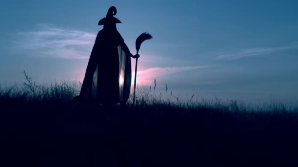 sorceress in hat and cloak holding besom raising hands on the field - Footage, Video