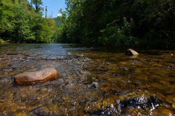 Abrams creek - Zdjęcie, obraz