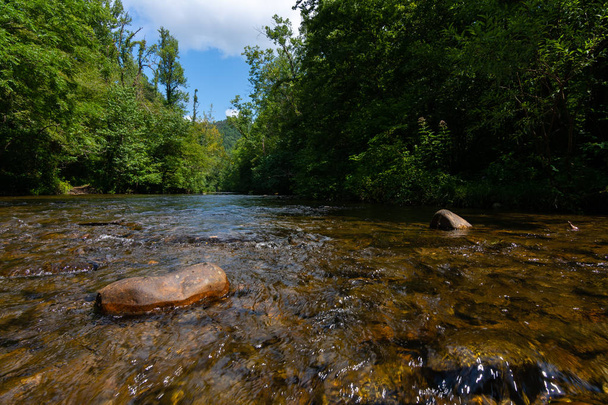Abrams Creek - Photo, Image