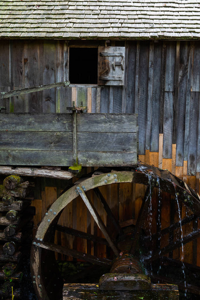 Oude molen in het bos - Foto, afbeelding