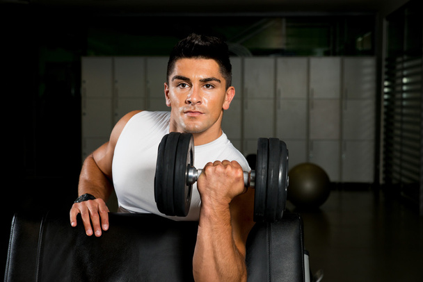 Powerful muscular man lifting weights - 写真・画像