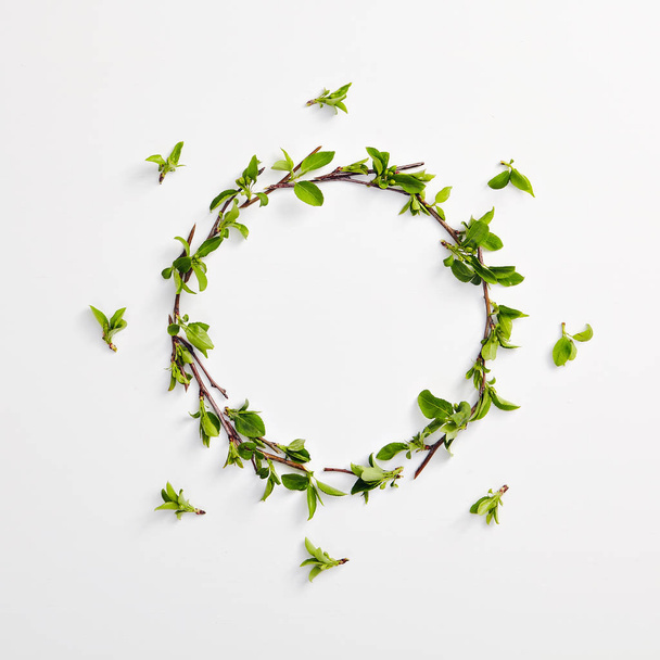 Creative Organic Eco Concept with Green Spring Leaves Border - 写真・画像