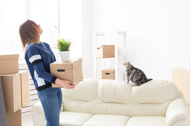 Charming young woman holds a box with things while moving while standing in a new apartment next to her gray lop-eared scottish cat. The concept of moving and housewarming. - Zdjęcie, obraz