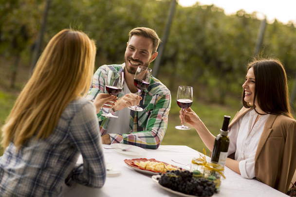 Ryhmä nuoria istuu pöydän ääressä ja juo punaviiniä viinitarhassa
 - Valokuva, kuva