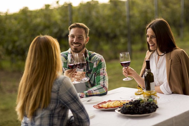 テーブルのそばに座り、ブドウ園で赤ワインを飲む若者のグループ - 写真・画像