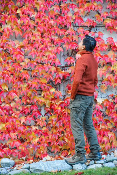 Um homem vendo folhas de outono
  - Foto, Imagem