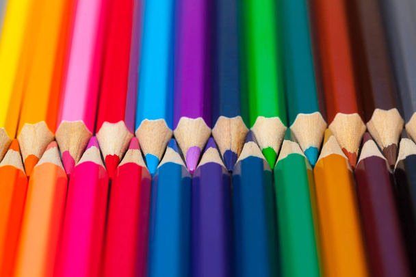 Set of colored pastel pencils in row multi color in form of closed zipper - Fotoğraf, Görsel