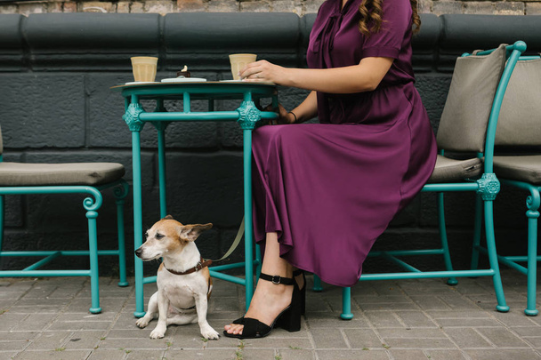 City coffee with pet. Elegant stylish woman in purple dress having coffee in street cafe. Cute dog sitting under the table - Photo, Image