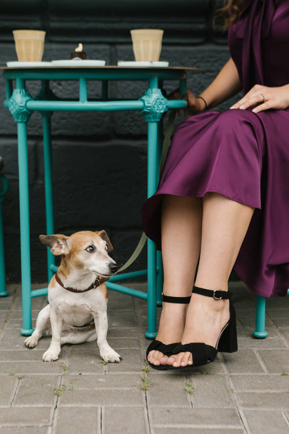 Dog friendly cafe. Pet sitting under the table. Elegant purple dress. - Фото, зображення