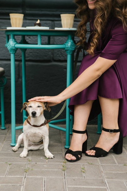 Petting dog. Street cafe. Young woamn in beautiful violet dress - Photo, Image