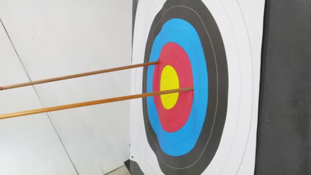 arrows in archery target, success concept, selective focus - Footage, Video