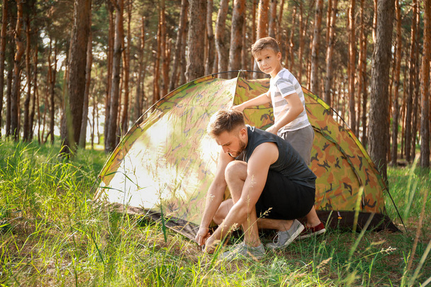 Padre e il suo figlioletto piantare tenda da campeggio nella foresta
 - Foto, immagini