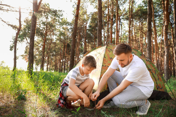 父と彼の幼い息子は、森の中にキャンプテントを置く - 写真・画像