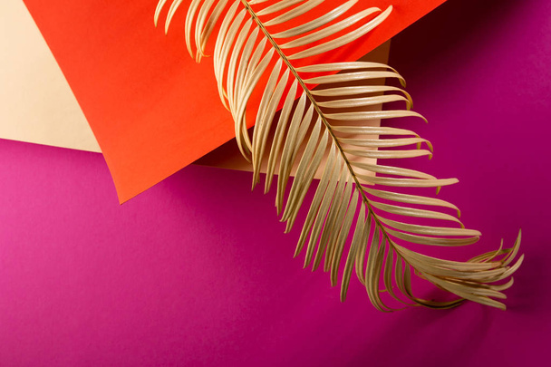 Creative paper background and branch - Foto, Imagen