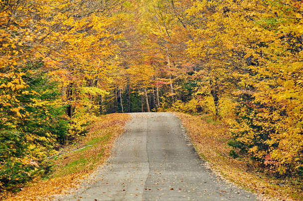Herbststraße in Maine - Foto, Bild