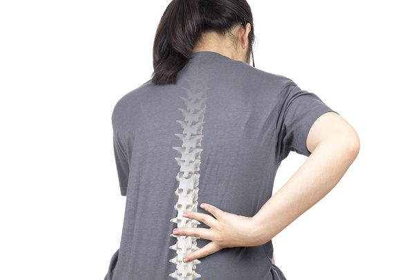 spine bones injury white background spine pain - Foto, Bild